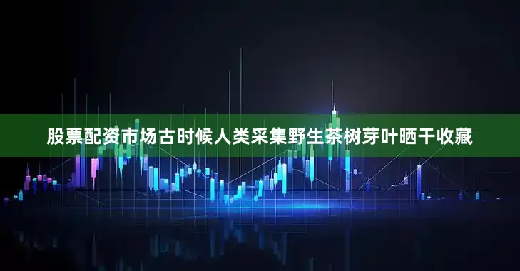 股票配资市场古时候人类采集野生茶树芽叶晒干收藏