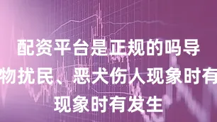 配资平台是正规的吗导致宠物扰民、恶犬伤人现象时有发生